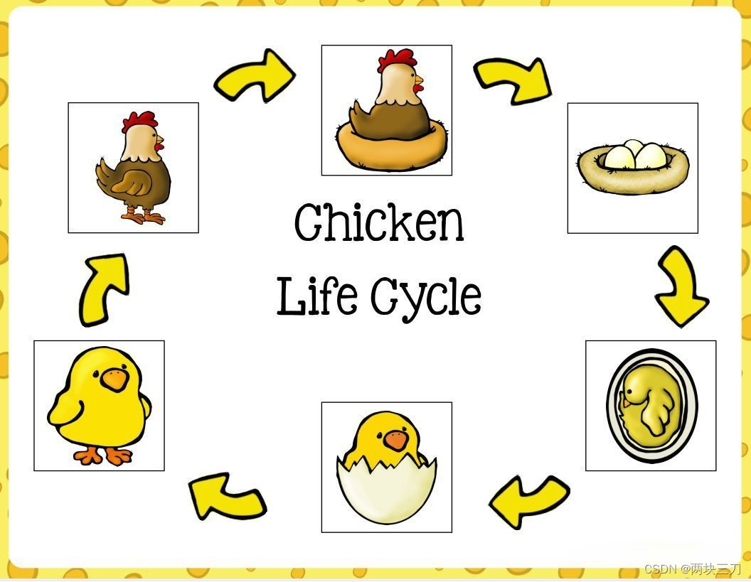 lifecycle生命周期