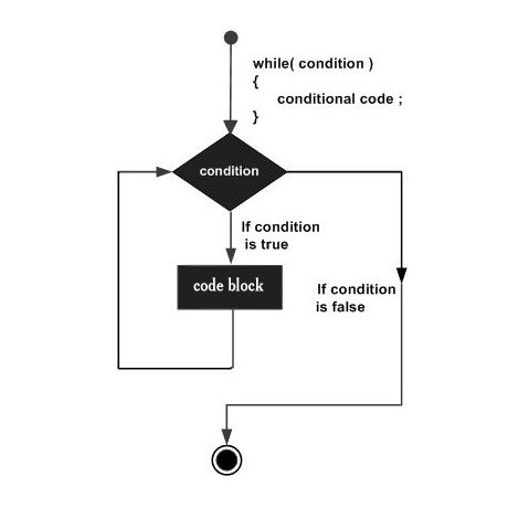 C语言 while 循环