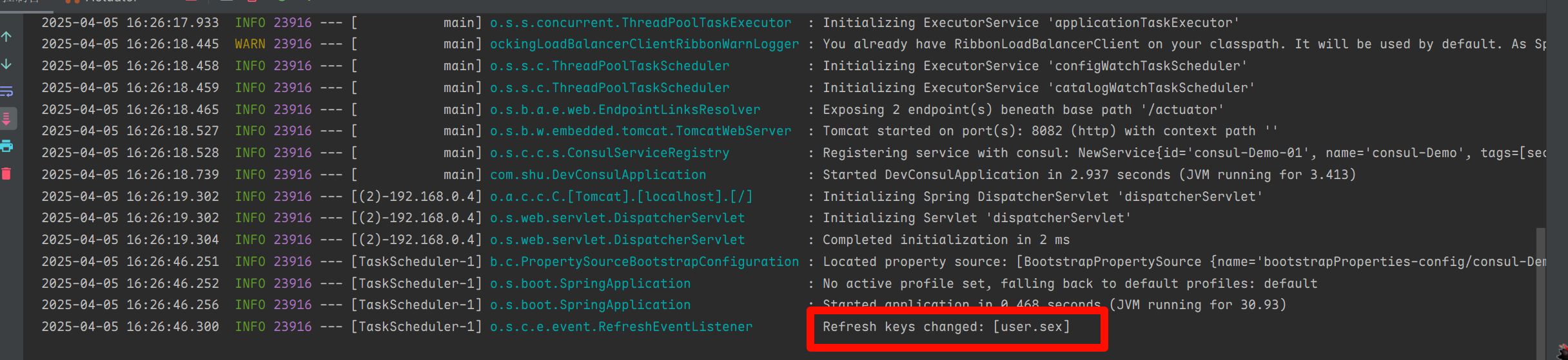 image-20250405162659286