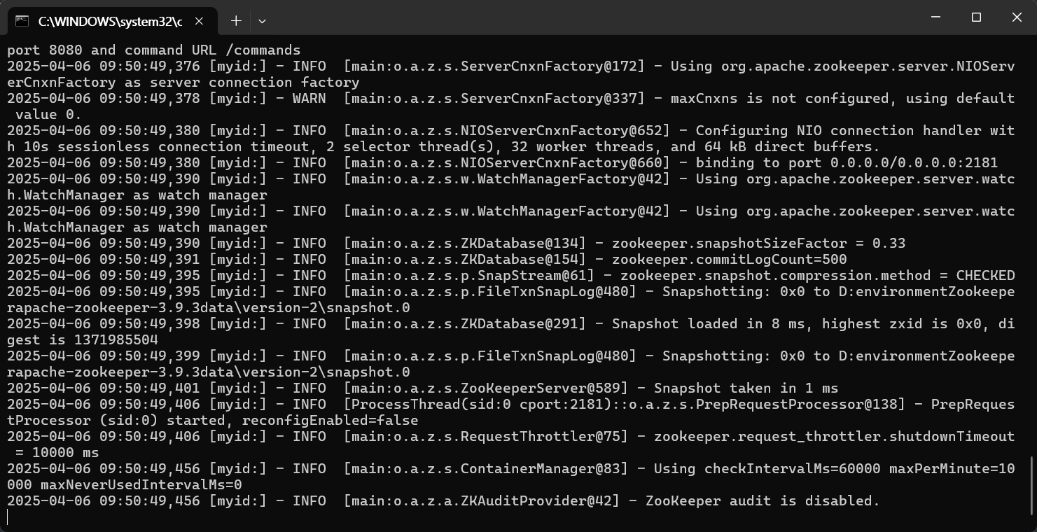 image-20250406095115064