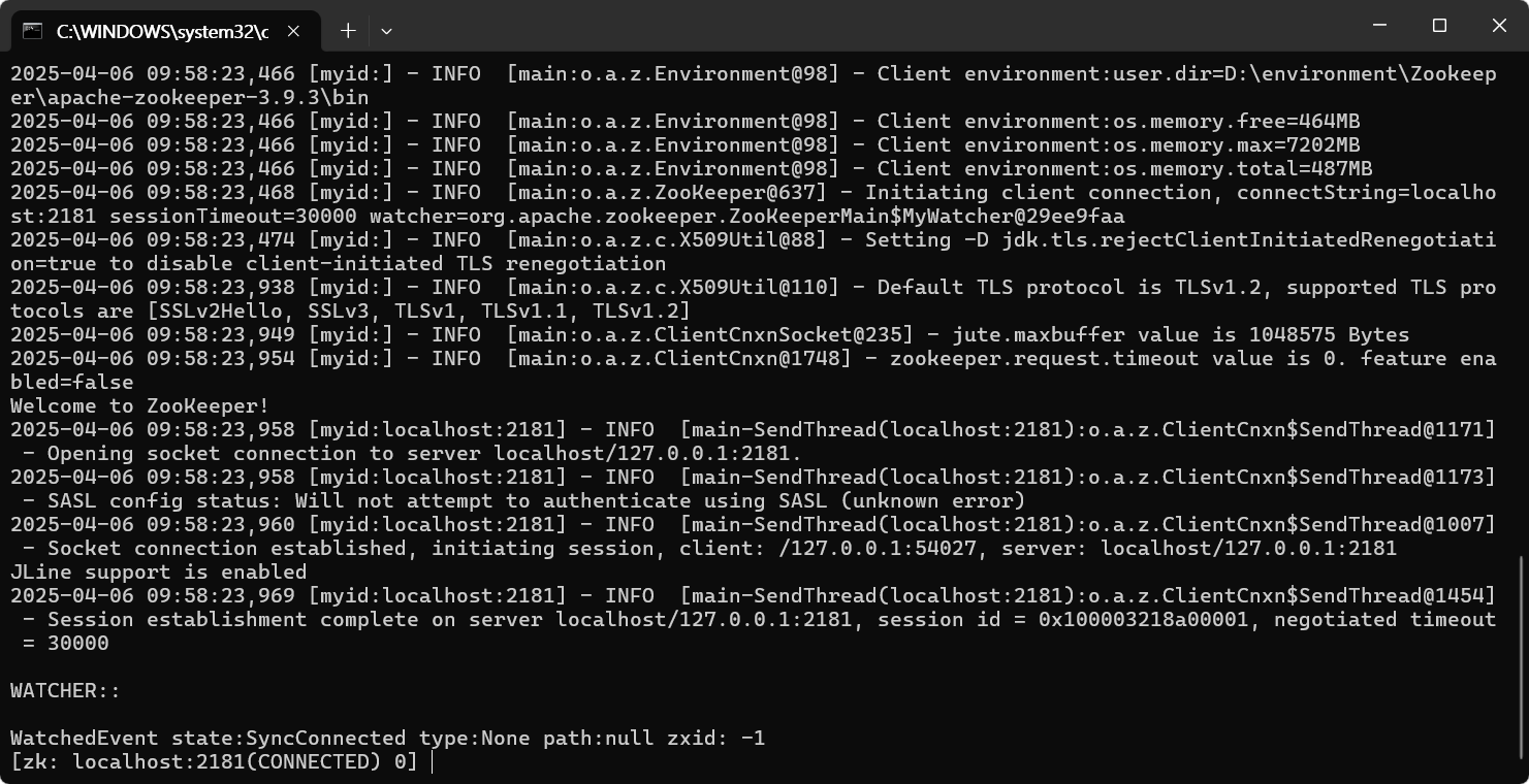 image-20250406095831177